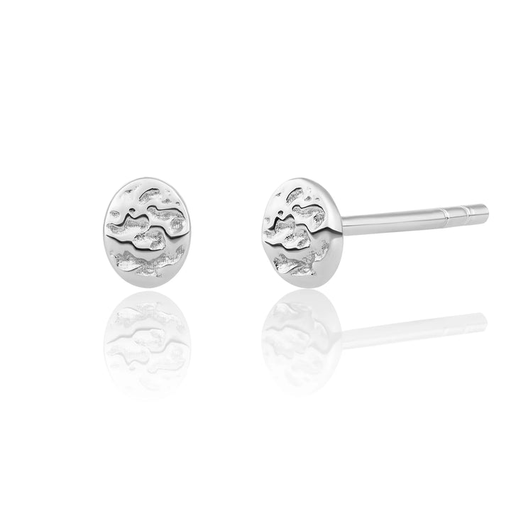 sparkling jewels fuse studs (kies goud/zilver)